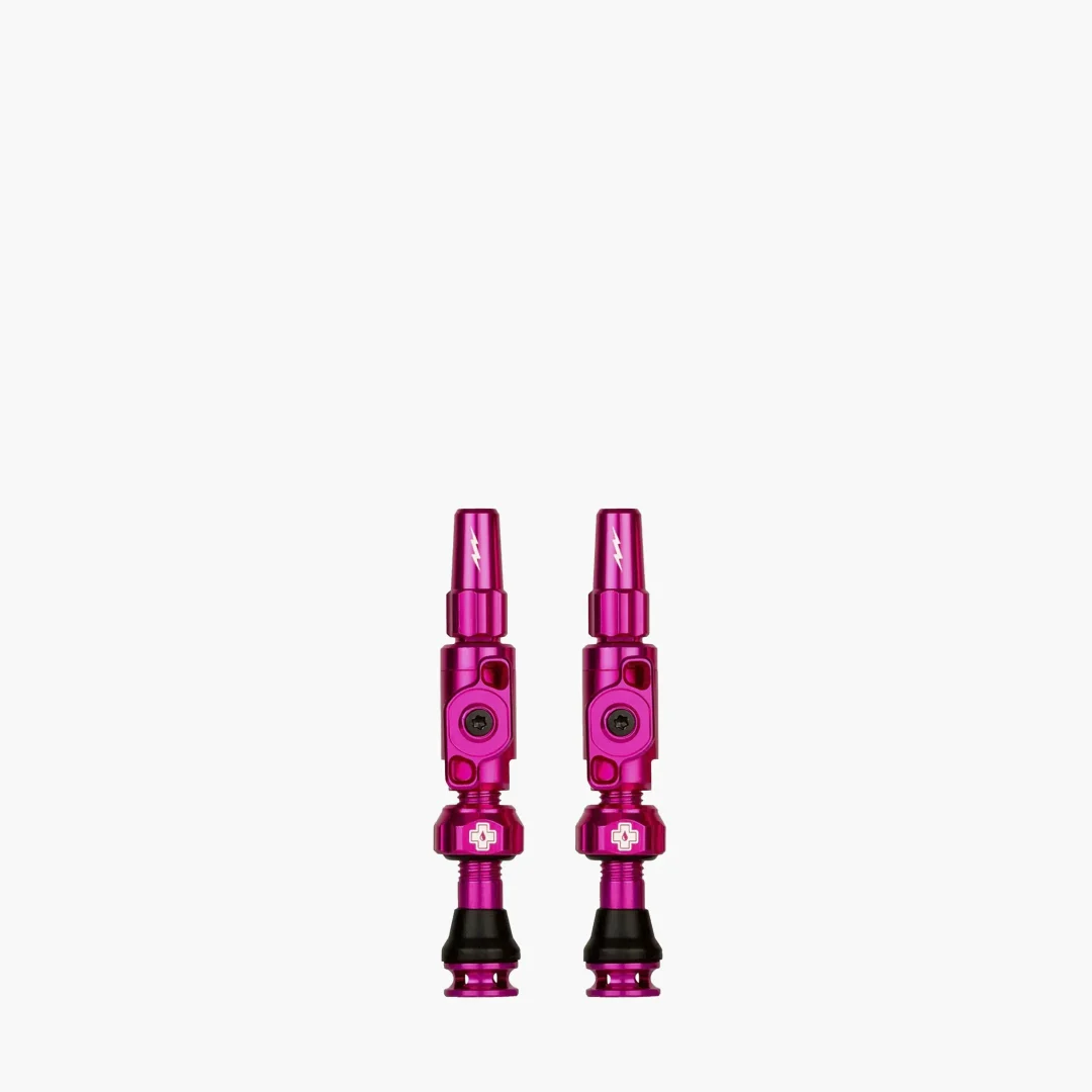 Big_Bore_Lite_30mm_Pink_d4514e0e-94d7-4b49-9d92-c5fca97d74f2.png Muc-Off Tubeless Valves Big Bore Lite Small-Pink